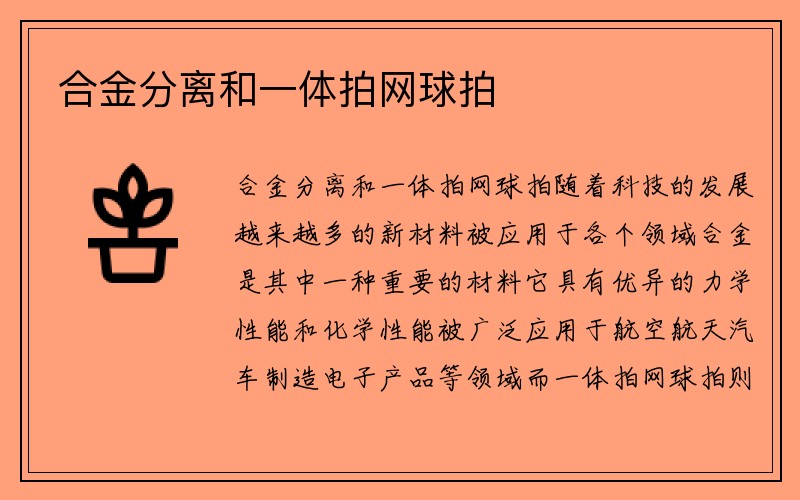 合金分离和一体拍网球拍